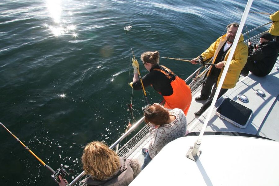 Reykjavik: 3-Hour Sea Angling Gourmet Experience Tour - Weather and seasickness deserve serious thought