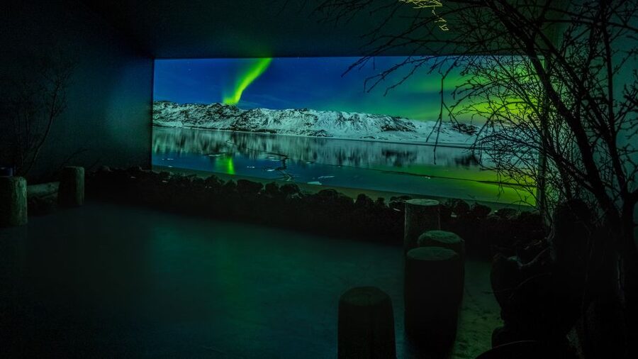 Reykjavik: Aurora Reykjavik The Northern Lights Center Entry - The 360-degree VR Northern Lights show