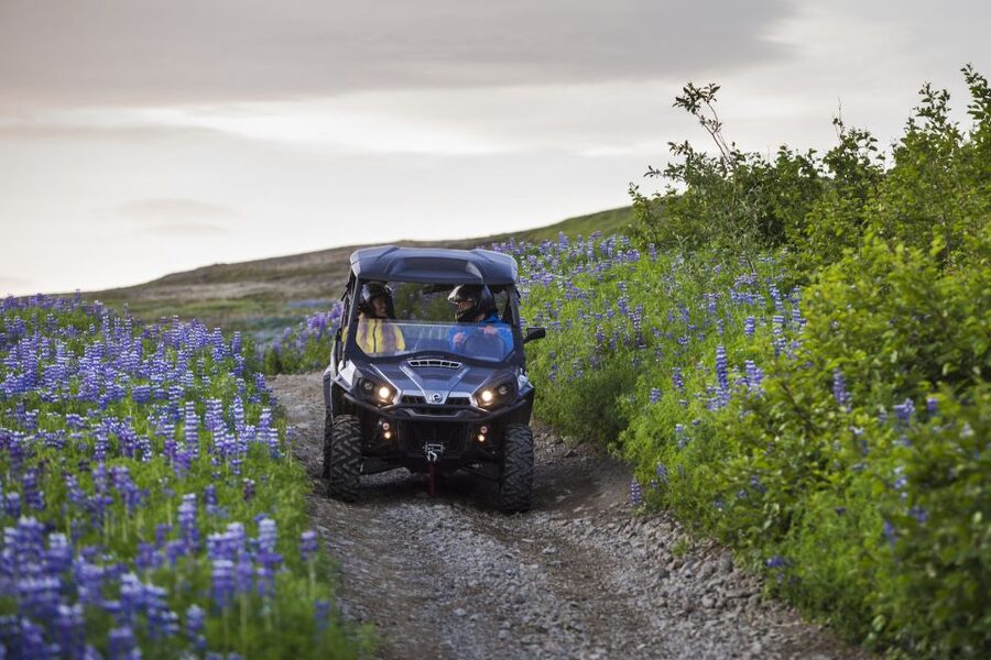 Reykjavik: Buggy Safari Tour with Hotel Transfers - Who will enjoy this buggy safari most?
