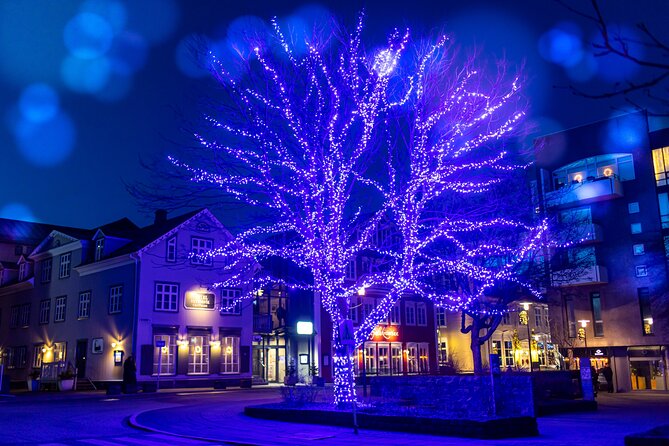 Reykjavik Christmas Walking Tour - A Book Store and Iceland’s Christmas Reading Habit
