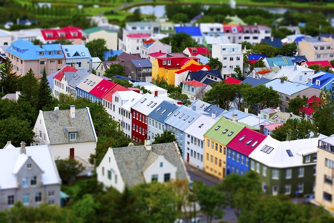 Reykjavik City Walking Tour - Tjörnin pond, swans, and the shape of the city