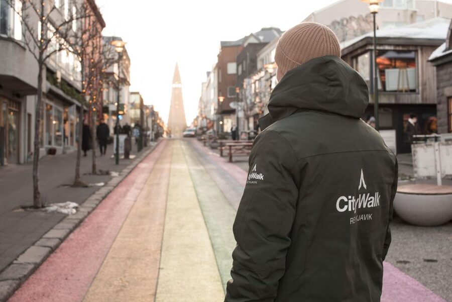 Reykjavik: City Walking tour in Small Group with Local Guide - Key points to know before booking