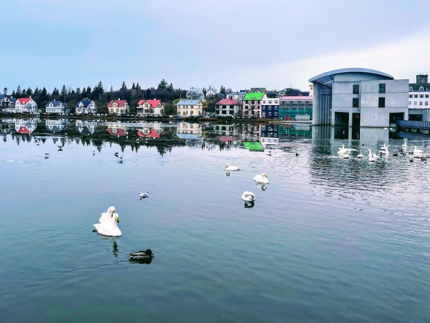 Reykjavik: City Walking tour in Small Group with Local Guide - Weather, walking comfort, and accessibility