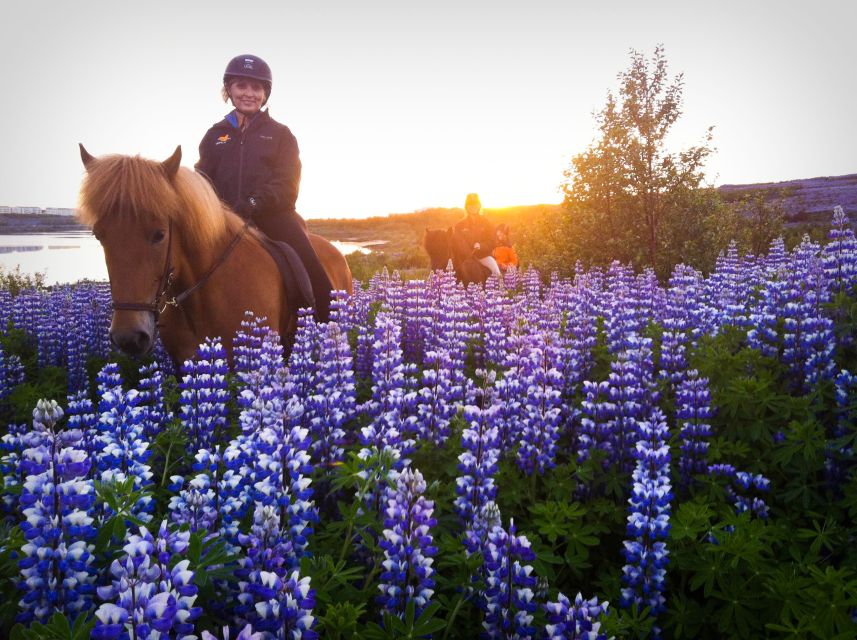 Reykjavik: Evening Sleipnir Horse Riding Tour with Pickup - Why this ride works so well near Reykjavík