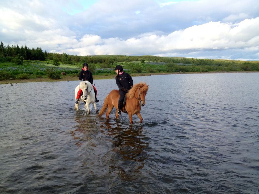 Reykjavik: Evening Sleipnir Horse Riding Tour with Pickup - A warm finish with kleina and hot drinks