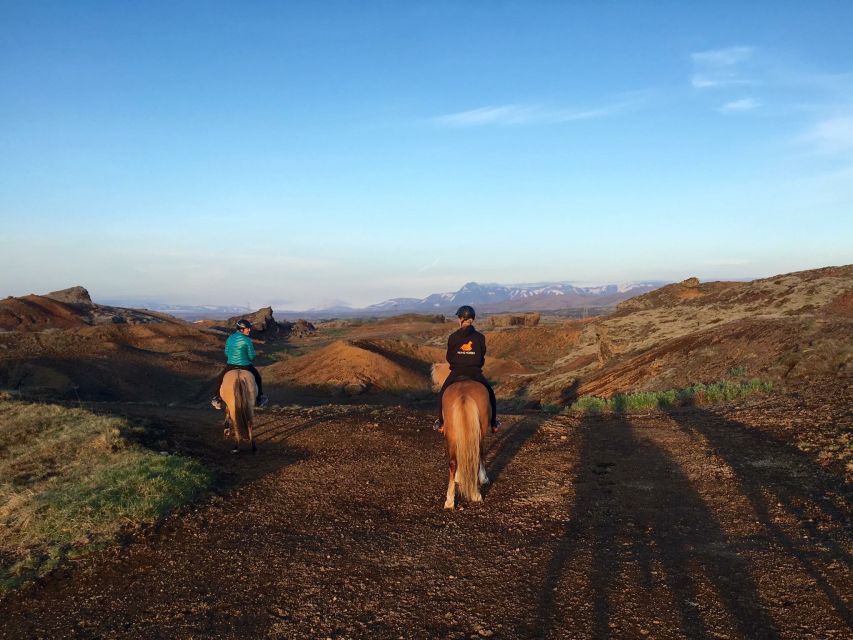 Reykjavik: Evening Sleipnir Horse Riding Tour with Pickup - Meeting the Icelandic horses
