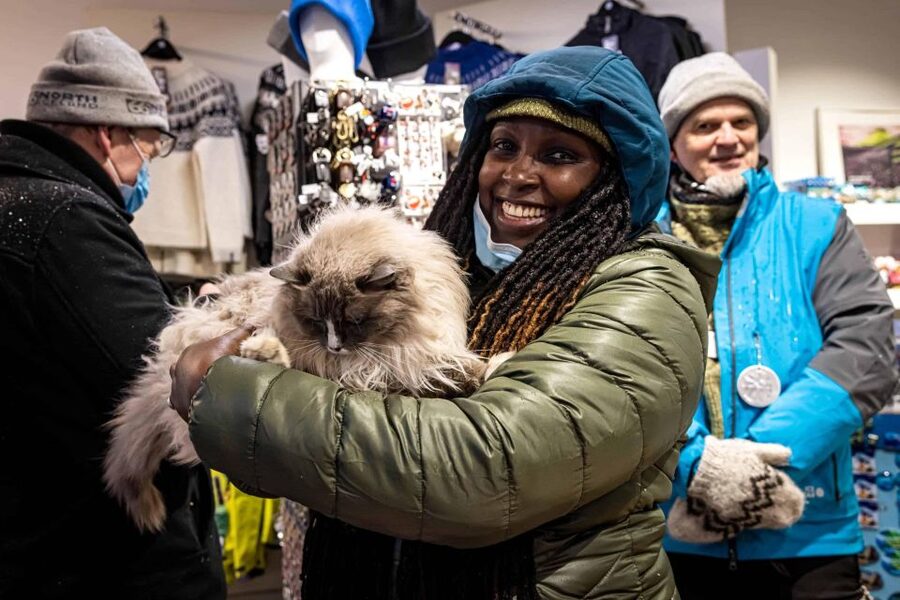 Reykjavik: Feline-Focused City Walking Tour - Gyllti kötturinn and the hunt for shop cats