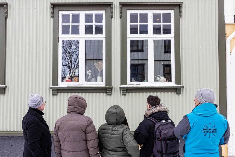 Reykjavik: Feline-Focused City Walking Tour - Lake Tjörnin adds a quieter city pause