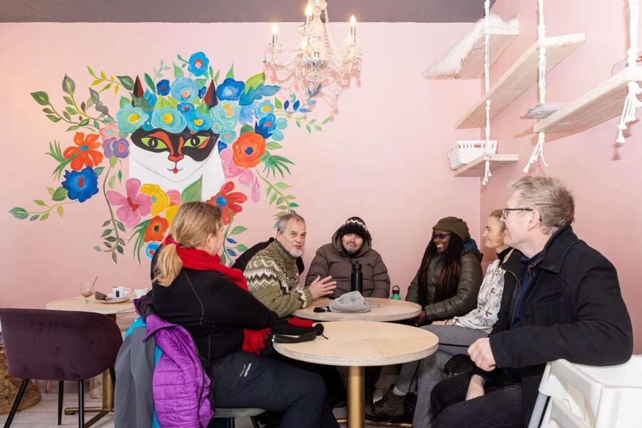 Reykjavik: Feline-Focused City Walking Tour - Hallgrimskirkja and the Einar Jónsson area