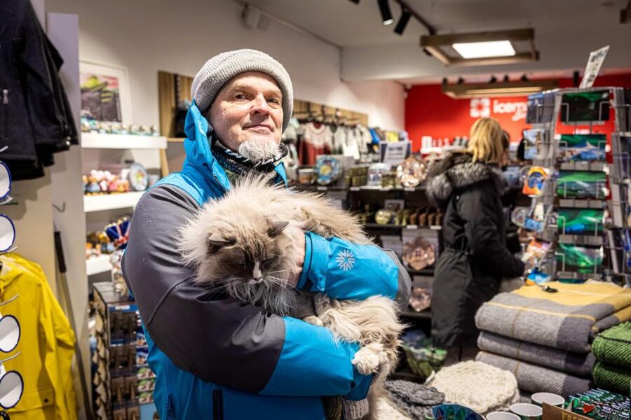 Reykjavik: Feline-Focused City Walking Tour - Starting at Ingólfstorg with a local guide
