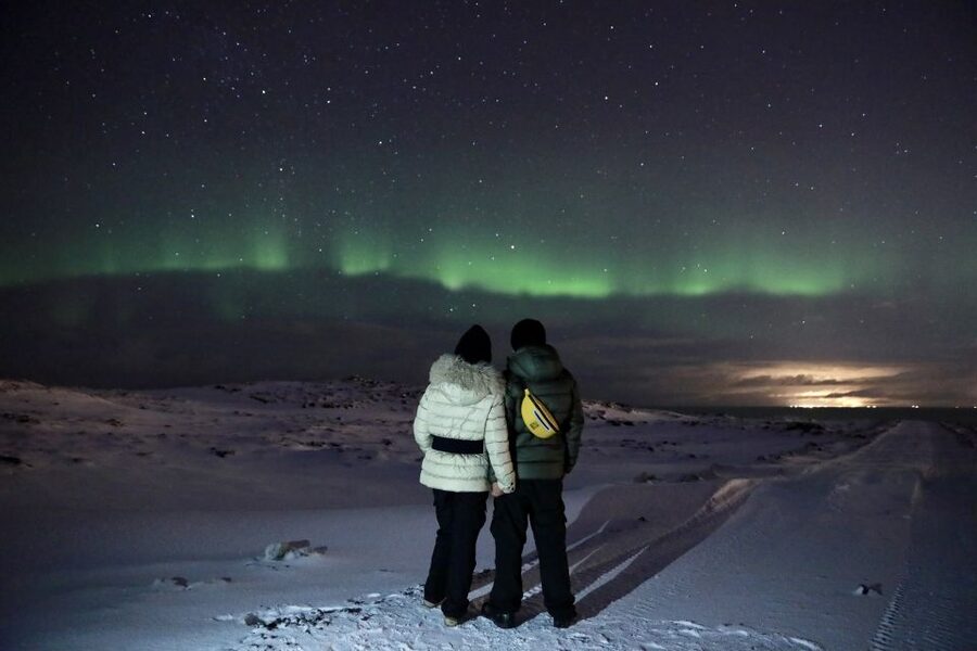 Reykjavík: Golden Circle, Blue Lagoon, and Aurora Tour - What the guides add to a long day