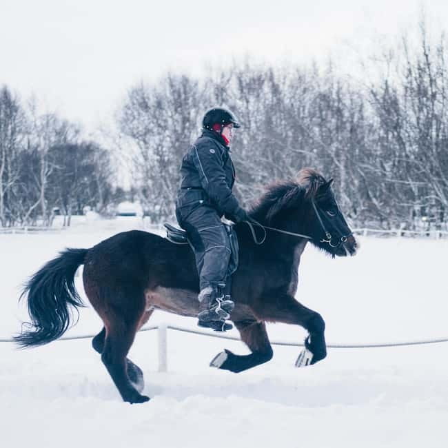 Reykjavik: Golden Circle, Fridheimar, & Sky Lagoon Day Trip - Sky Lagoon is the payoff at the end