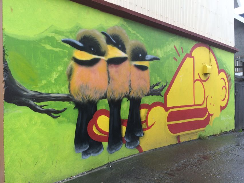 Reykjavik: Guided City Walking Tour - The quieter streets behind the main roads
