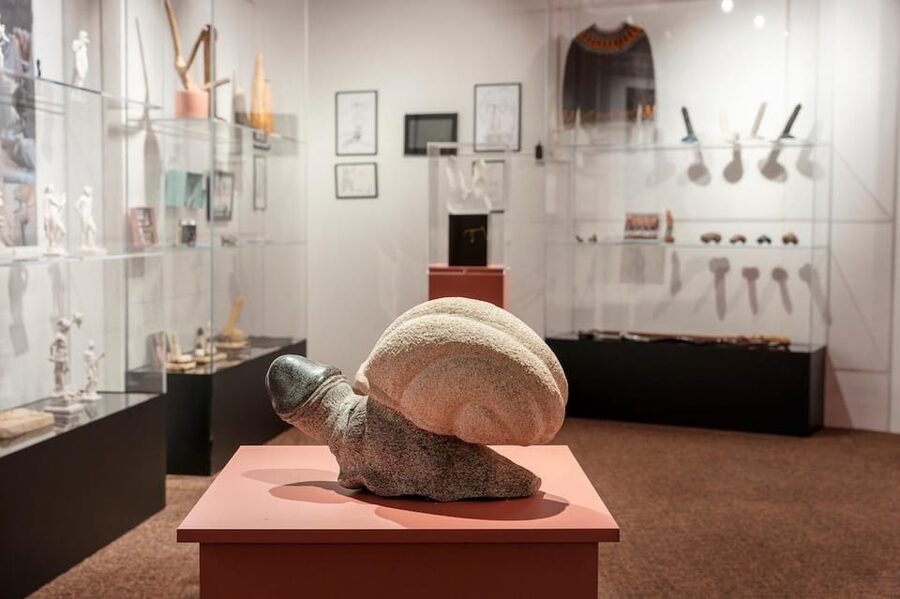 Reykjavik: Icelandic Phallological Museum Entry Ticket - Key points to know before you go
