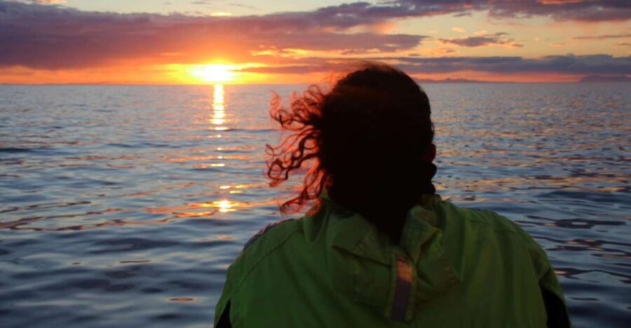 Reykjavík: Midnight Sun Whale Watching Cruise - Key points to know before sailing