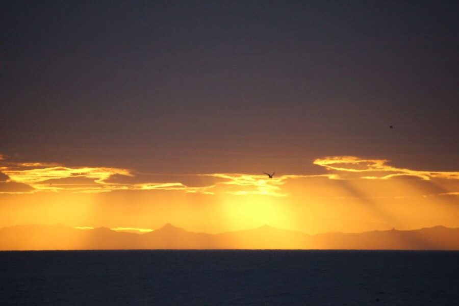 Reykjavík: Midnight Sun Whale Watching Cruise - A boat designed for looking, not just getting there