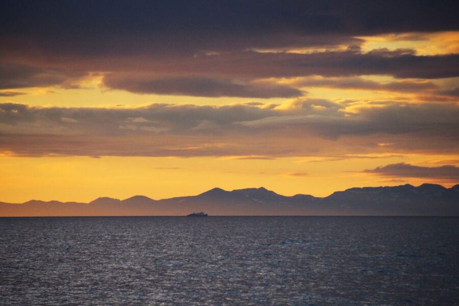 Reykjavík: Midnight Sun Whale Watching Cruise - What the two-and-a-half-hour search feels like