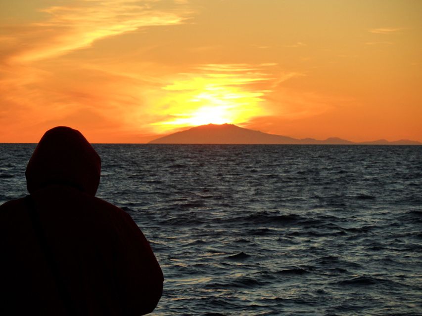 Reykjavik: Midnight Sun Whale Watching Tour - Puffins, gannets, and the busy Icelandic sky