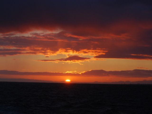 Reykjavik: Midnight Sun Whale Watching Tour - My practical plan for the evening