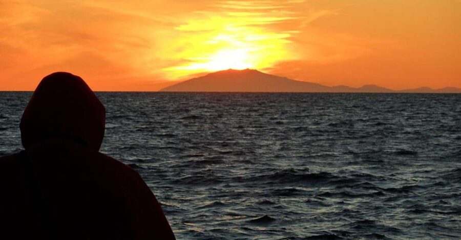 Reykjavik: Midnight Sun Whale Watching Tour - Finding whales with a marine biologist guide