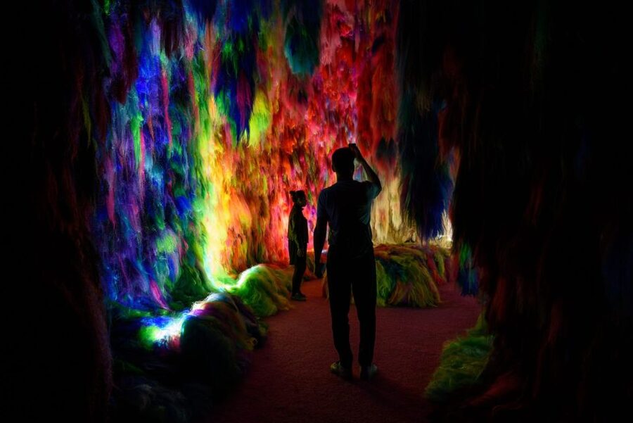 Reykjavík: Multi-Sensory Art Installation Chromo Sapiens - Practical value at $28