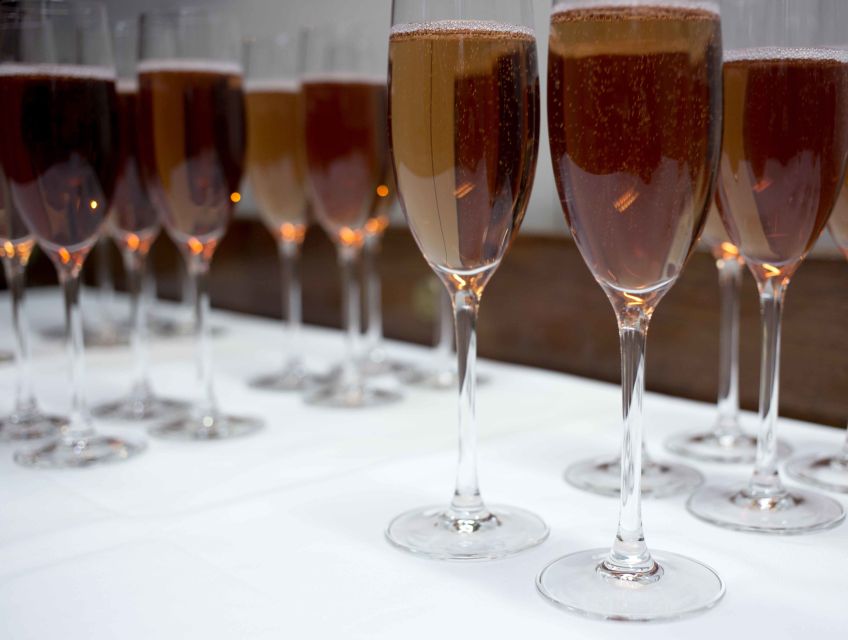 Reykjavik: New Year's Eve Fireworks Cruise - Who will enjoy this New Year’s Eve cruise?