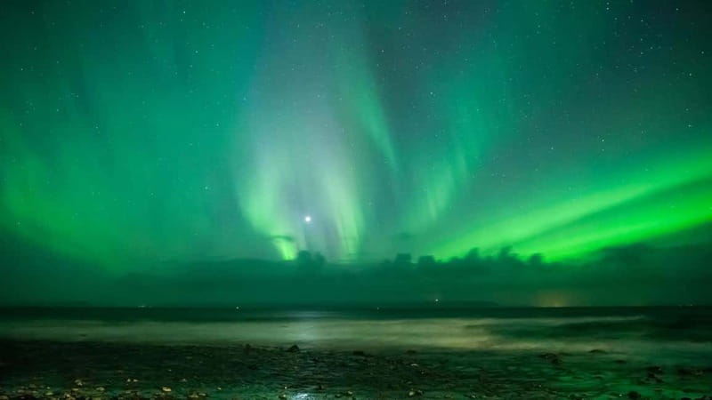 Reykjavik: Northern Lights Adventure Tour with Hot Chocolate - Why this Reykjavik aurora tour makes sense