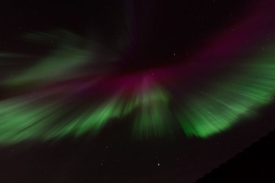Reykjavik: Northern Lights Motor Yacht Cruise - MY Harpa or MY Amelia Rose