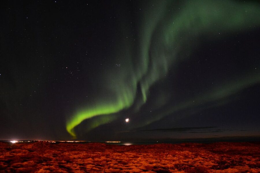 Reykjavik: Northern Lights Motor Yacht Cruise - How the guides shape the night