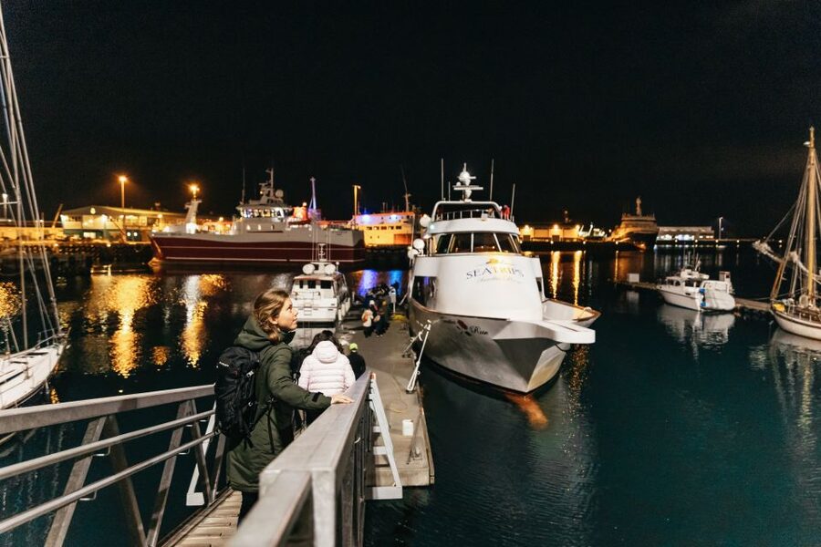 Reykjavik: Northern Lights Yacht Tour - What the guides add