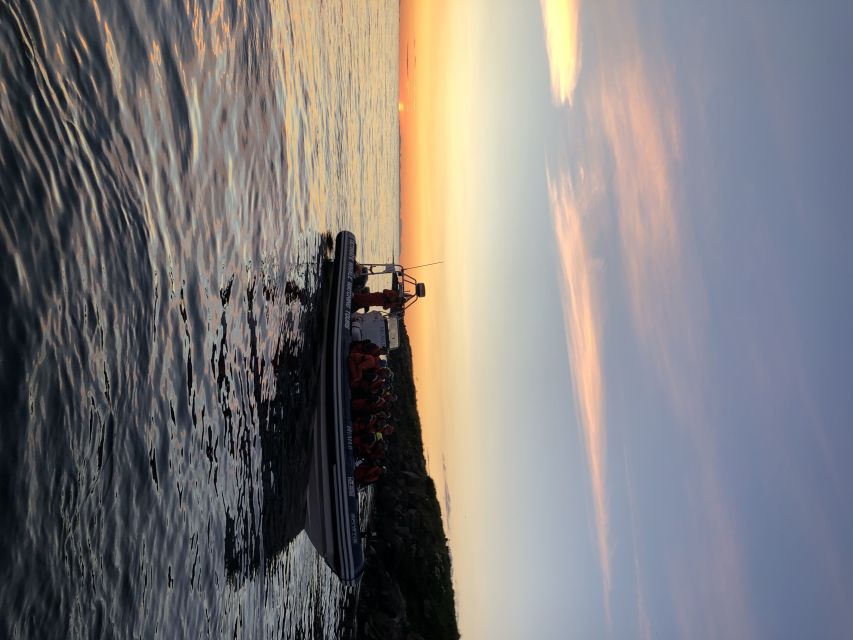 Reykjavik: Premium Whale and Puffin Watching Evening Tour - Who should book this evening cruise?