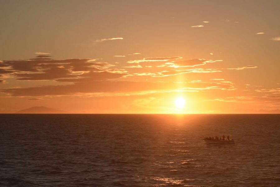 Reykjavik: Premium Whale and Puffin Watching Evening Tour - Puffin islands first, from about May 15 to August 20