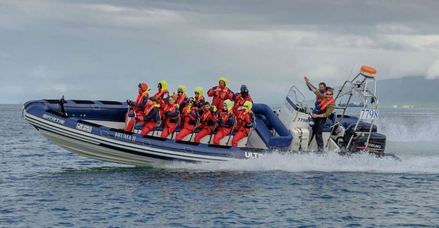 Reykjavik: Premium Whale Watching with Flexible Ticket - Humpbacks, minkes, dolphins, and the luck factor