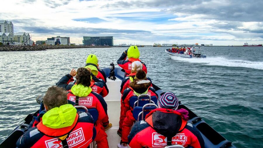 Reykjavik: Premium Whale Watching with Flexible Ticket - Weather, clothing, and comfort