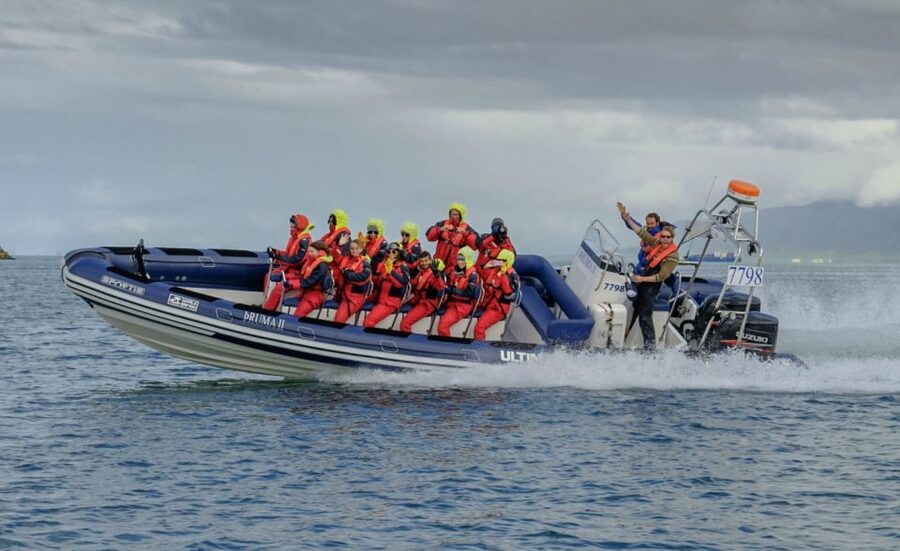 Reykjavik: Premium Whale Watching with Flexible Ticket - The two-hour search across Faxaflói Bay