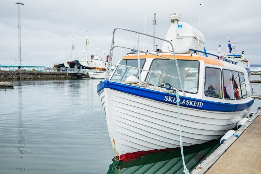 Reykjavik: Puffin Watching Boat Tour - Guides who make the short trip memorable
