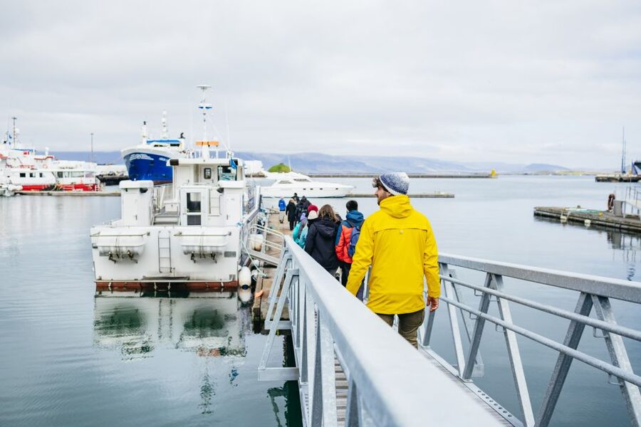 Reykjavik: Puffin Watching Boat Tour - Should you book the Reykjavik Puffin Watching Boat Tour?