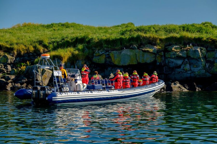 Reykjavik: Puffin Watching Tour - Key points to know before booking