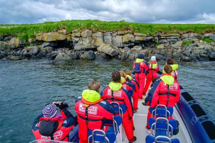 Reykjavik: Puffin Watching Tour - A fast start at Reykjavik Old Harbour