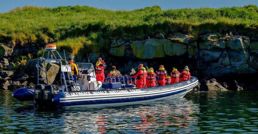 Reykjavik: Puffin Watching Tour - Watching Atlantic puffins from the boat