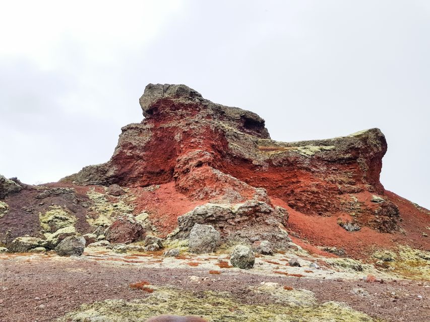 Reykjavik: Red Lava Horse Riding Tour - Riding Iceland’s red lava fields