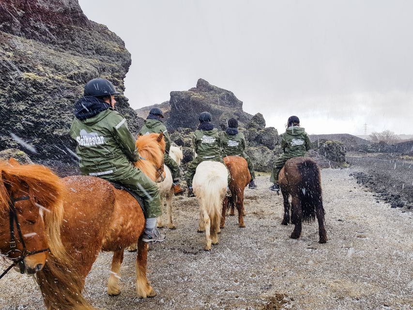 Reykjavik: Red Lava Horse Riding Tour - Meeting the Icelandic horses at Sólhestar