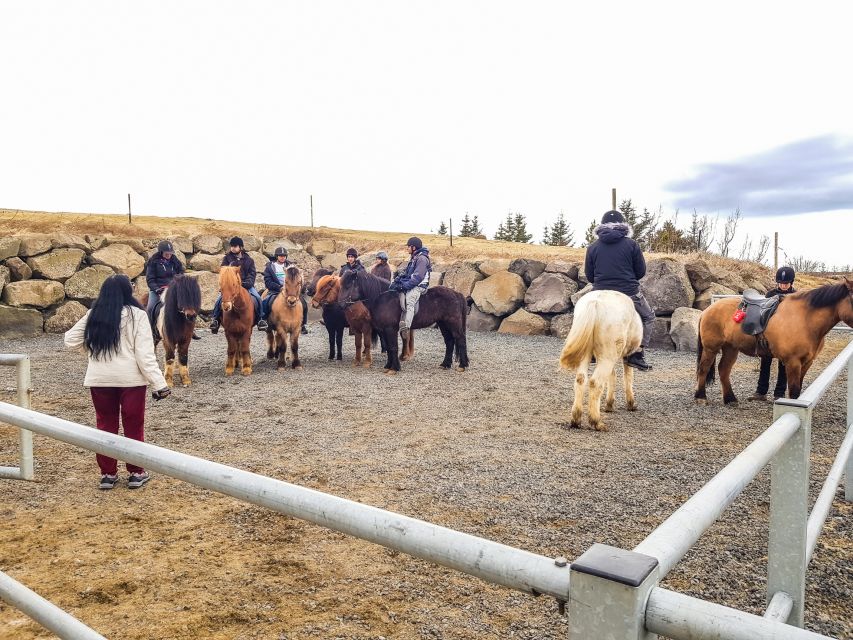 Reykjavik: Red Lava Horse Riding Tour - What the 2.5-hour schedule really means