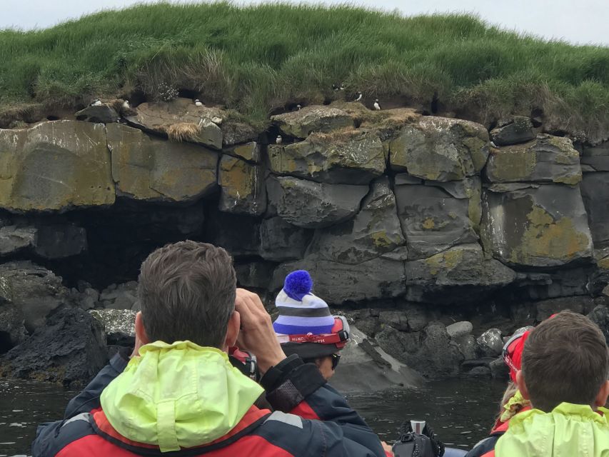 Reykjavík: RIB Speed-Boat Puffin Watching Tour - What the hour actually feels like