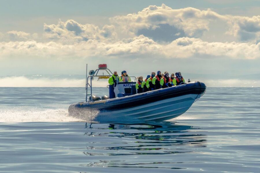 Reykjavík: RIB Speed-Boat Puffin Watching Tour - Photos, puffin behavior, and the limits of close viewing