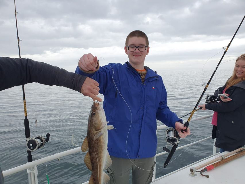 Reykjavik's Finest Catch: Guided Sea Angling Tour - How the Timing Shapes Your Day