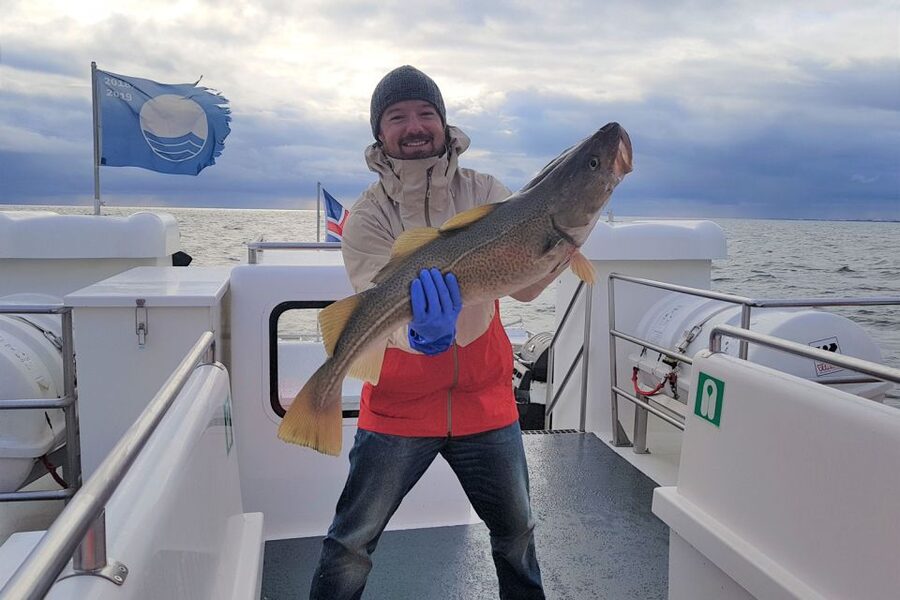 Reykjavik: Sea Fishing Boat Tour & BBQ with the Day's Catch - Small practical choices that make a big difference