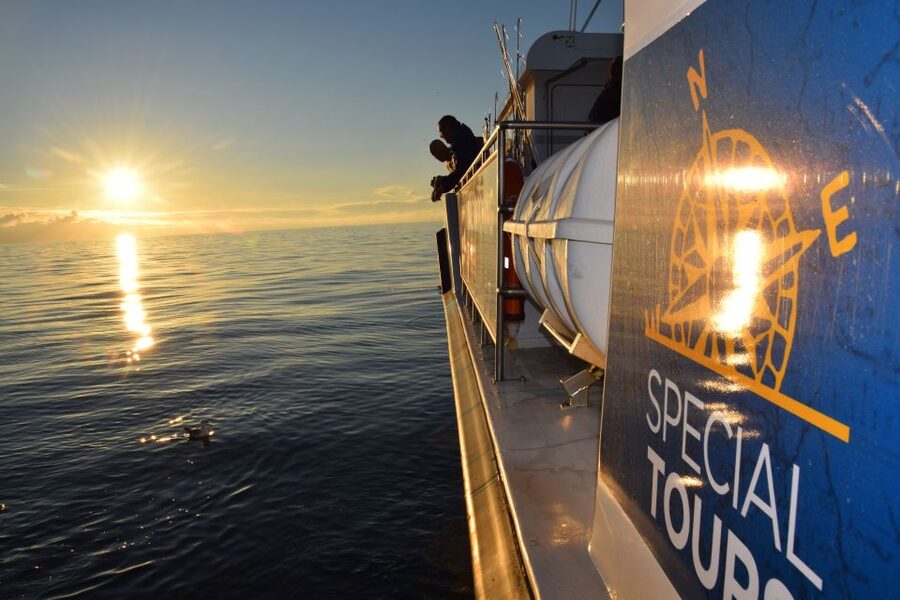 Reykjavik: Sea Fishing Boat Tour & BBQ with the Day's Catch - What you may catch in Faxaflói Bay