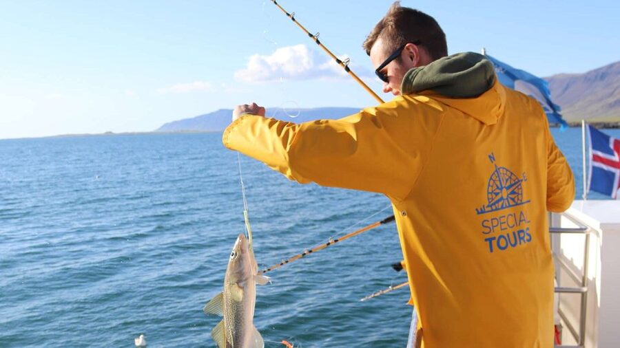Reykjavik: Sea Fishing Boat Tour & BBQ with the Day's Catch - How the boat size and pace affect the experience