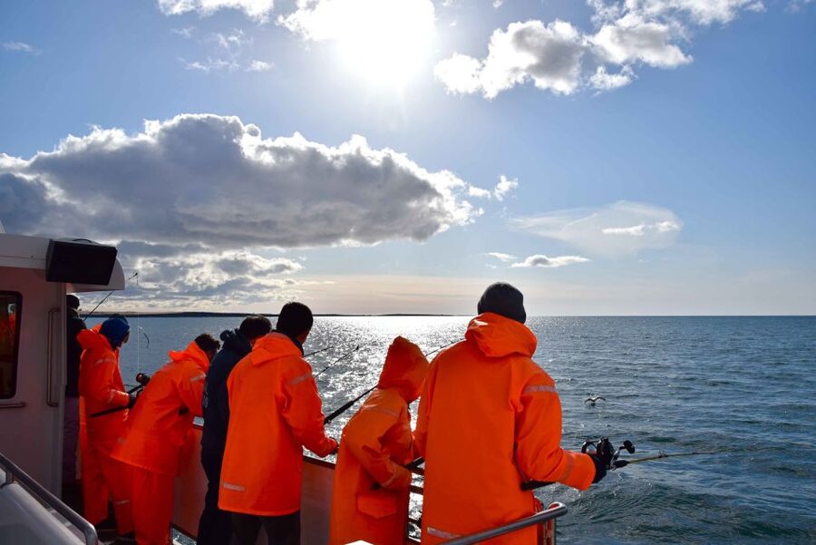 Reykjavik: Sea Fishing Boat Tour & BBQ with the Day's Catch - Is $141 a fair price?